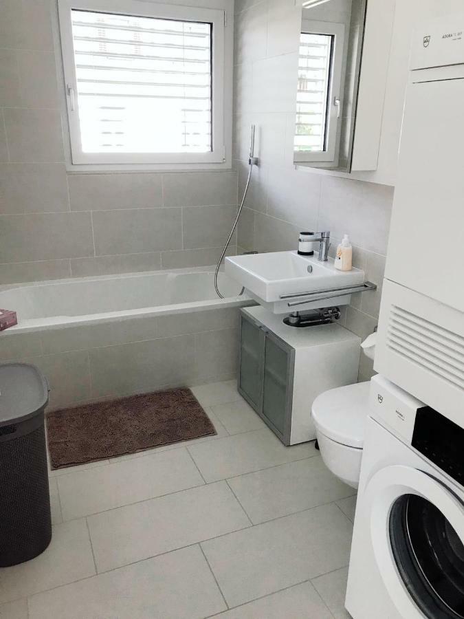 Easy-Living Apartments Dietwil 外观 照片