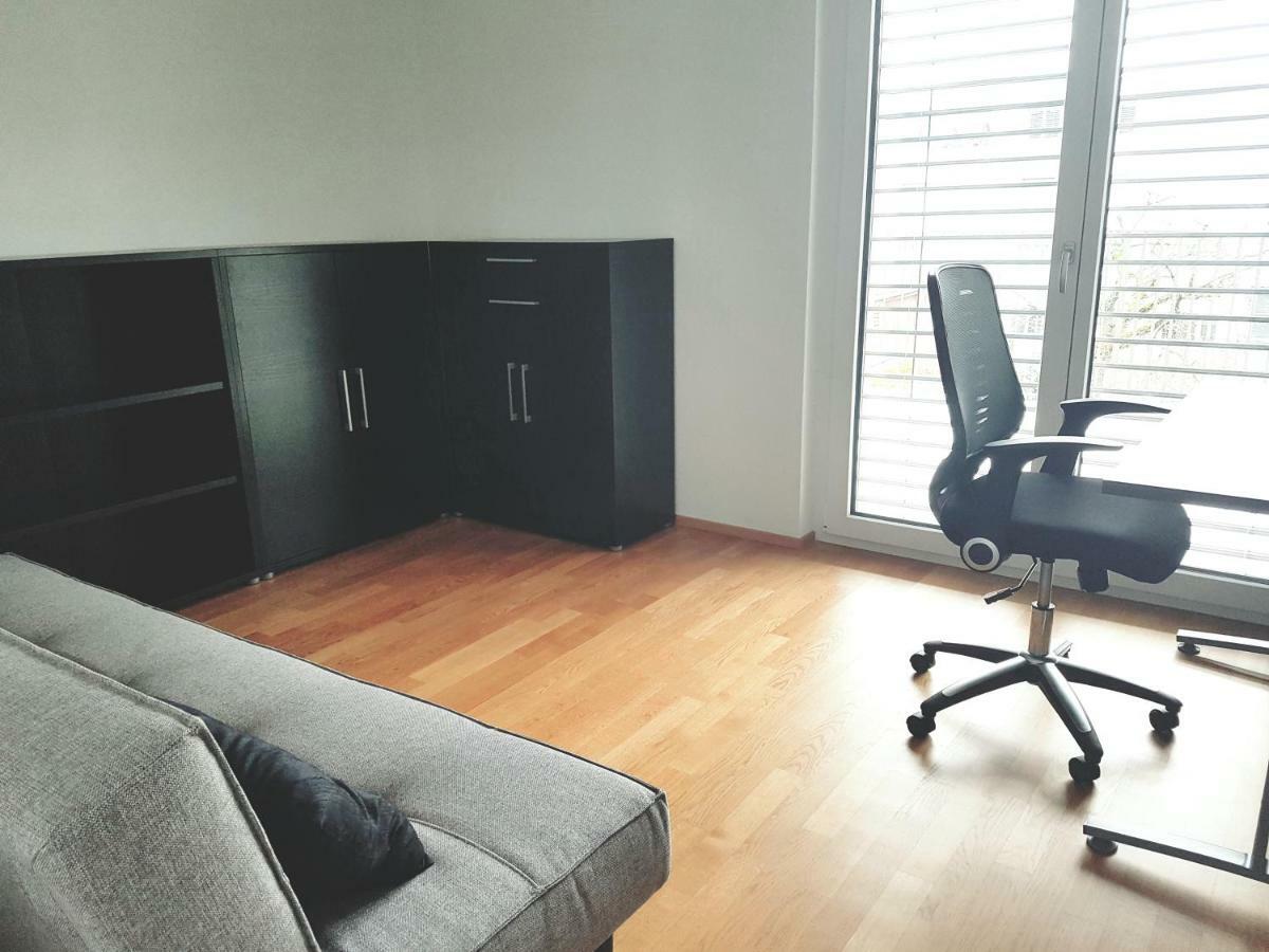Easy-Living Apartments Dietwil 外观 照片