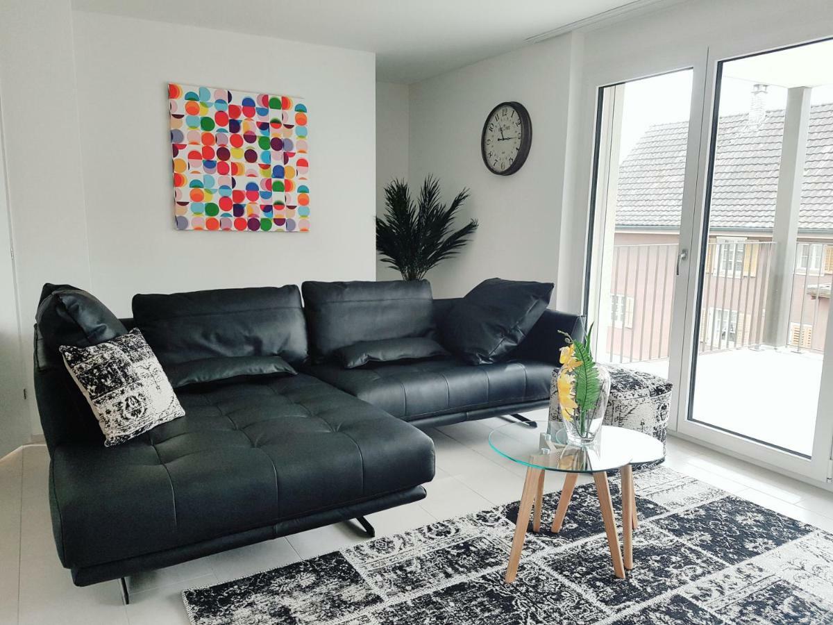 Easy-Living Apartments Dietwil 外观 照片